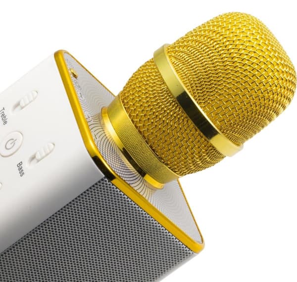 Technaxx BT-X31 Karaoke mikrofon och stereo Bluetooth högtalare Guld, Vit