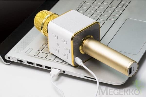 Technaxx BT-X31 Karaoke mikrofon och stereo Bluetooth högtalare Guld, Vit