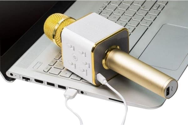 Technaxx BT-X31 Karaoke mikrofon och stereo Bluetooth högtalare Guld, Vit
