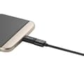 Miniatyrbillede 4 af 5: Delock multifunktionel dobbeltkapsel USB-mikrofon med 3,5 mm stik