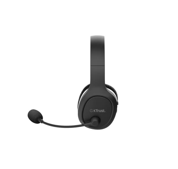 Hodesett GXT 391 THIAN WRL/24502 TRUST