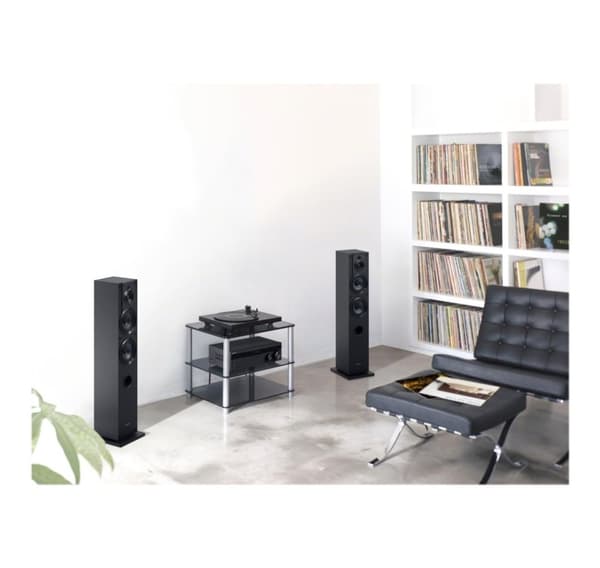 Sony, STR-DH190