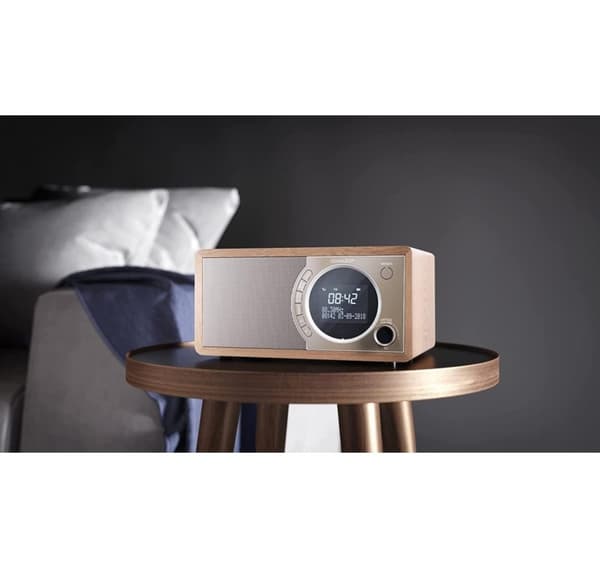 Sharp, digitalradio, DR-450(BR)