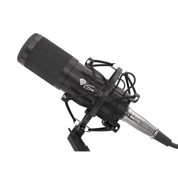 Genesis, spillemikrofon, Radium 300