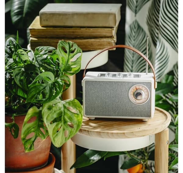 Camry, Högtalare med radio, CR 1902 W