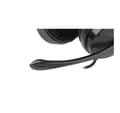 Miniatyrbild 7 av 11: Natec, Headset, Canary Go
