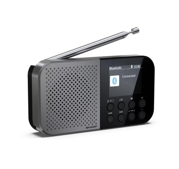 Sharp DR-P520(GY) OSAKA lomme/håndholdt bærbar digitalradio, grå