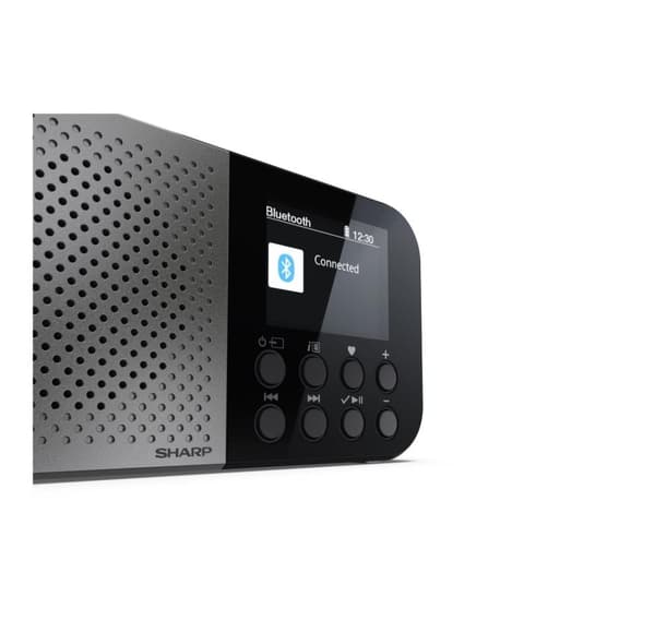 Sharp DR-P520(GY) OSAKA lomme/håndholdt bærbar digitalradio, grå