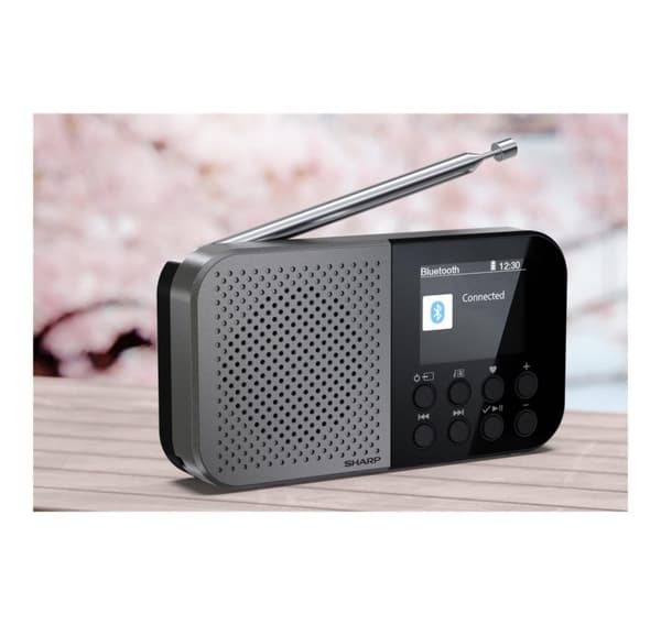 Sharp DR-P520(GY) OSAKA lomme/håndholdt bærbar digitalradio, grå