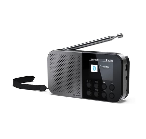 Sharp DR-P520(GY) OSAKA lomme/håndholdt bærbar digitalradio, grå