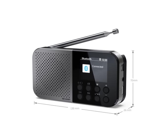 Sharp DR-P520(GY) OSAKA lomme/håndholdt bærbar digitalradio, grå