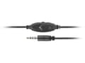 Miniatyrbillede 6 af 6: Natec | Headset | Canary Go | Wired | On-Ear | Microphone | Noise canceling | Black