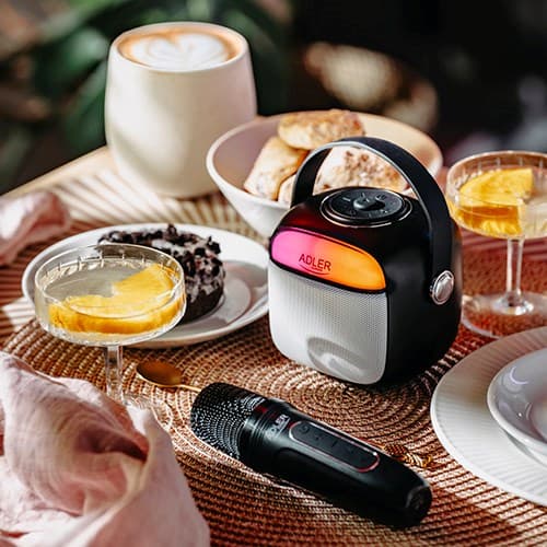 Adler AD 1199 svart karaokehögtalare med mikrofon - SD/USB/AUX/Bluetooth