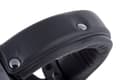 Miniatyrbillede 4 af 10: Beyerdynamic DT 770 PRO 80 OHM BLACK LIMITED EDITION - lukkede studiehovedtelefoner