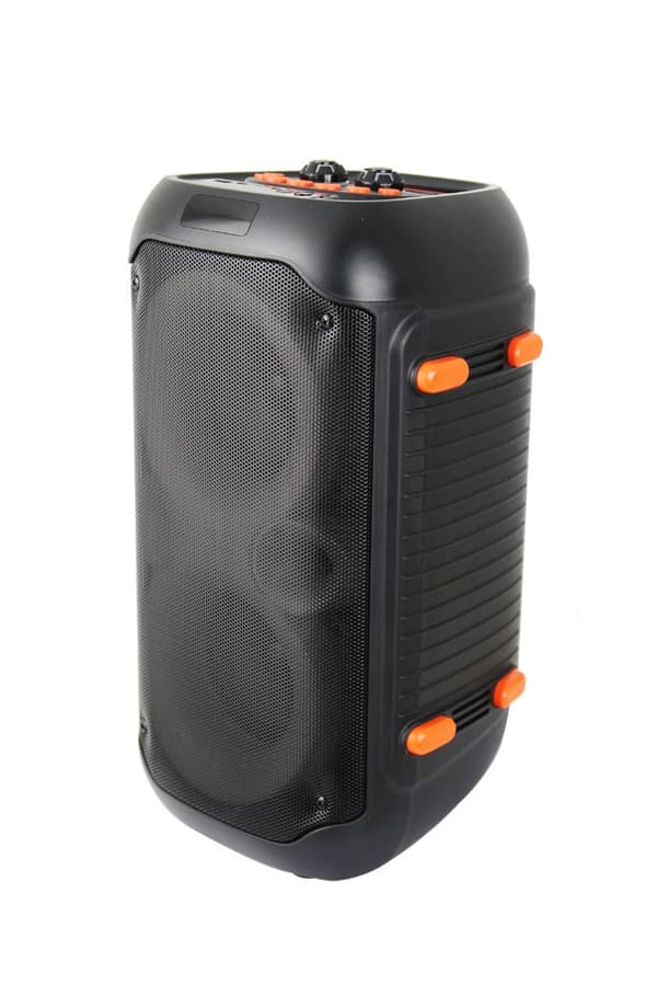 Esperanza EP156 BT FM LED RGB KARAOKE Högtalare Svart 20W