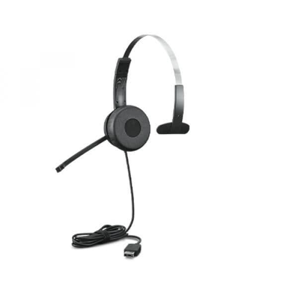 Hörlurar - LENOVO - 100 - In-ear - Trådad - USB-A - Svart