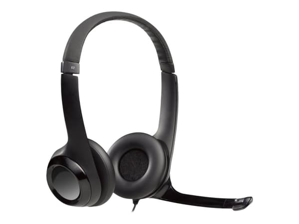 Logitech H390 - Kuulokkeet - korvalla - kaapeli - USB - Musta
