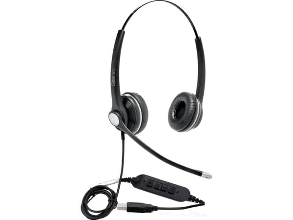 eSTUFF G4040 - Headset - på örat - kabelansluten - USB-A - Certifierad för Skype for Buisness