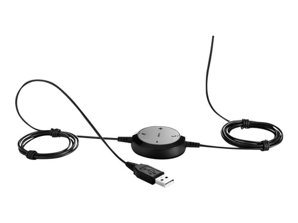 Jabra Evolve 20 UC mono - Headset - på örat - konvertibel - kabelansluten - USB-C - ljudisolerande