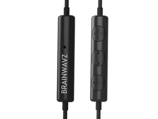 Brainwavz Delta Black headphones