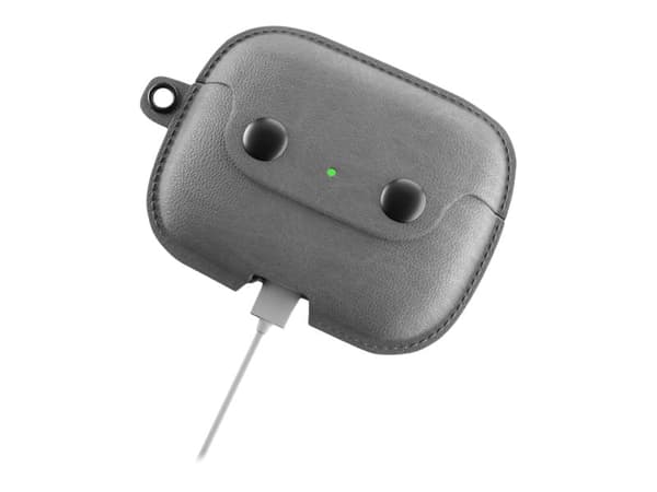 Woodcessories AirCase - Eske for trådløse øretelefoner - metall, helnarvet lær - steingrå - for Apple AirPods Pro