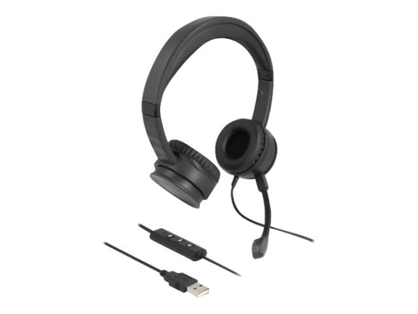 Delock - Headset - på örat - kabelansluten - USB-A - svart