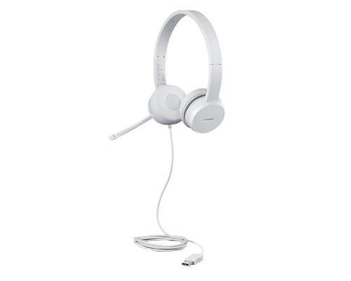 Lenovo 110 - Hodesett - on-ear - kablet - USB-A