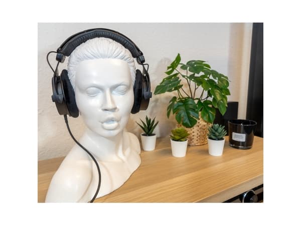 OEHLBACH D1C35441, Headphone holder, 2.2 kg, Black