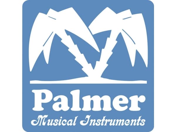 Palmer Musicals Instruments DMS Mikrofon-splitter