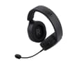 Miniatyrbild 2 av 5: Trust GXT 490 Fayzo - Headset - fullstorlek - kabelansluten - USB - svart