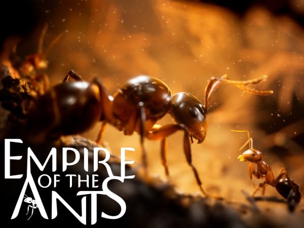 Microids Empire Of The Ants, PlayStation 5, T (Teen)