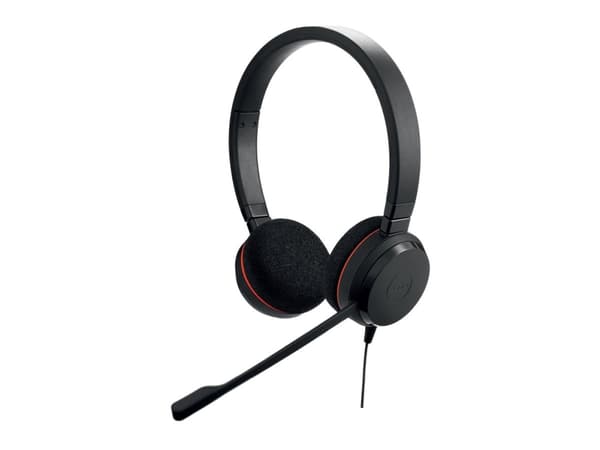 Jabra Evolve 20 USB C/A MS Stereo - Stereo