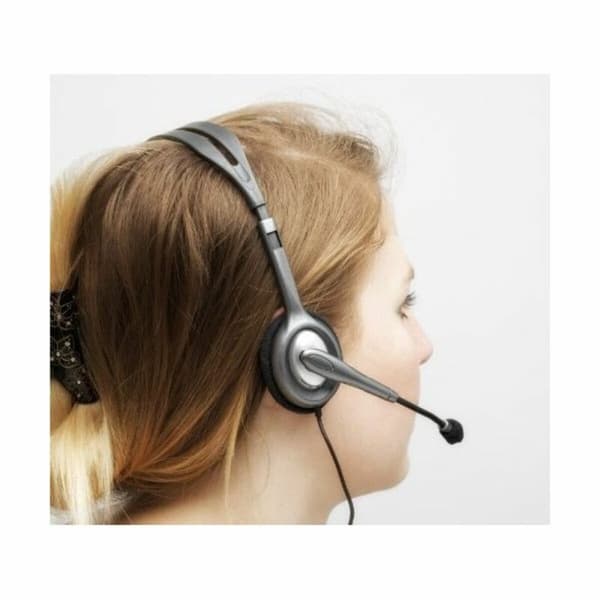 Kuulokkeet mikrofonilla Logitech 981-000271 2 x Jack 1,4 m Musta Harmaa