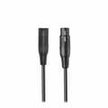 Miniatyrbilde 7 av 9: Dynamisk mikrofon Audio-Technica Iberia ATR-2100X-USB