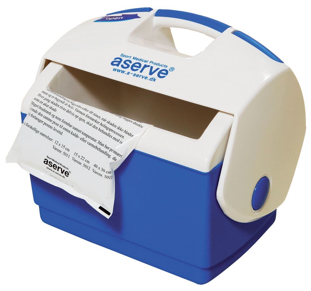 Aserve Cold Box Sports Cool Bag