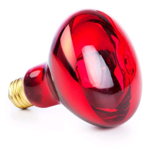 INFRA-lampe