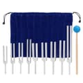 Miniatyrbillede 1 af 4: Tuning Fork Sæt, 10 Toner, Præcisionslydhealing