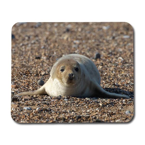 Seal Pup Hiirimatto