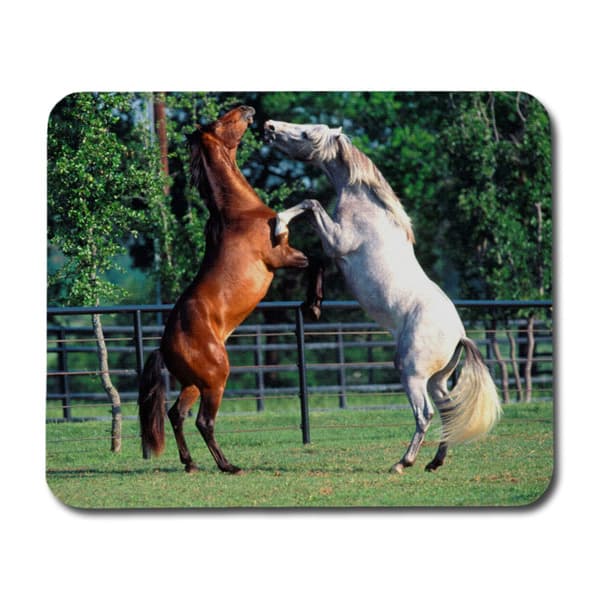 Brown & White Horses Hiirimatto