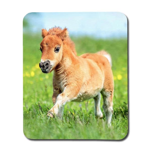 Pony Hiirimatto