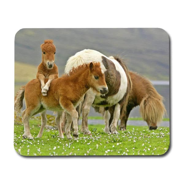 Ponies Hiirimatto