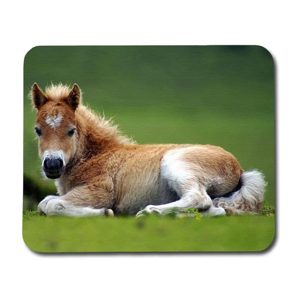 Foal Hiirimatto