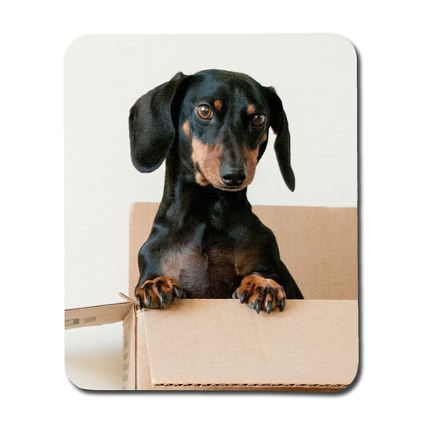 Hund Tax musmatta