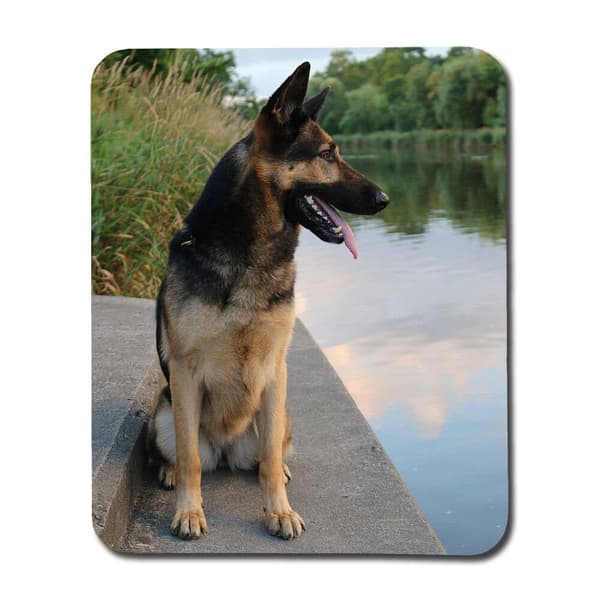 Tysk Schäferhund Musematte
