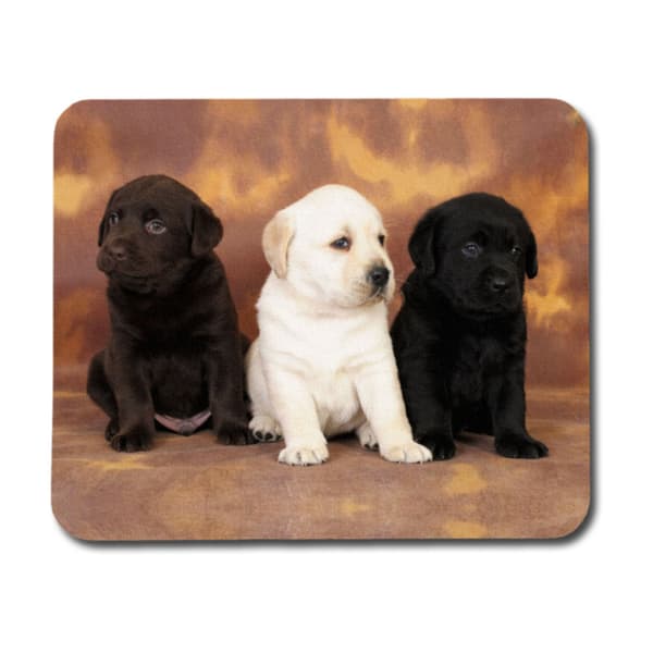 Labrador Puppies Hiirimatto