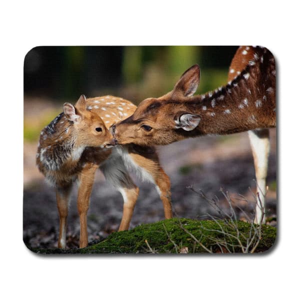 Rådjur Mamma & Fawn Musmatta