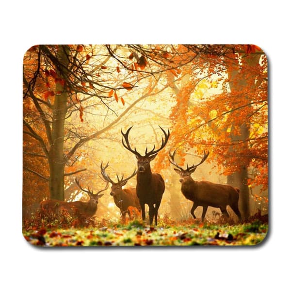 Deers & Autumn Hiirimatto