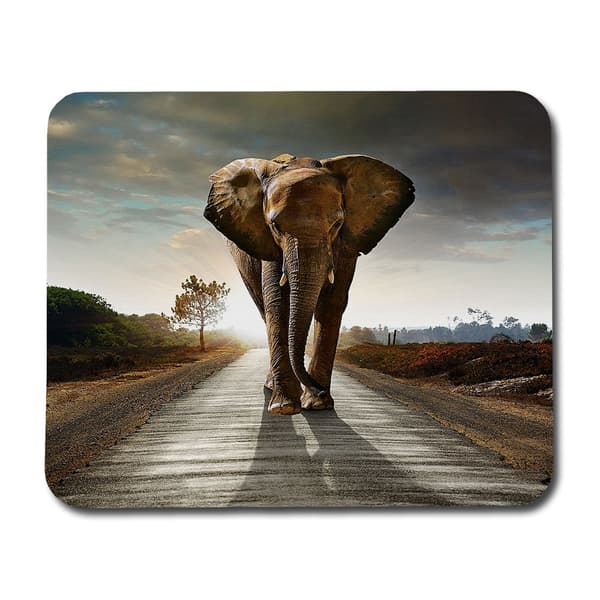 Elefant Musmatta