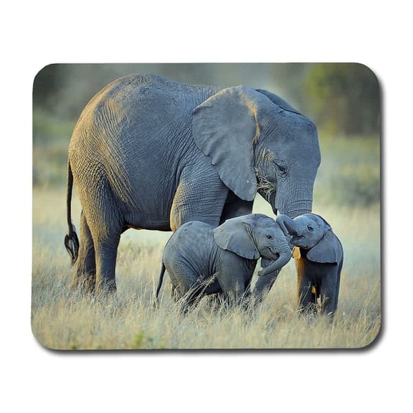Elephants Hiirimatto