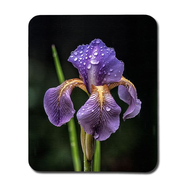 Kukka Iiris Hiirimatto